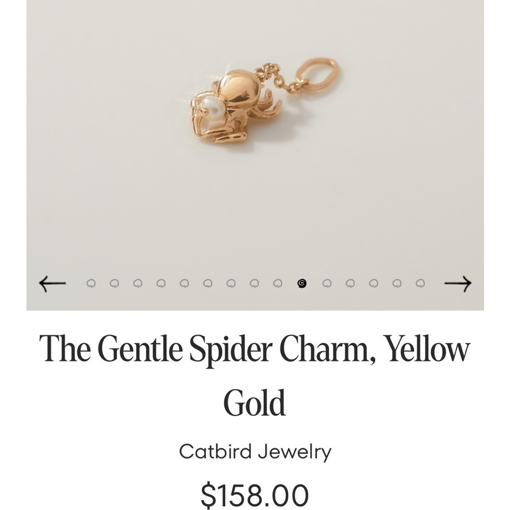 Catbird spider charm - Picture 4 of 4